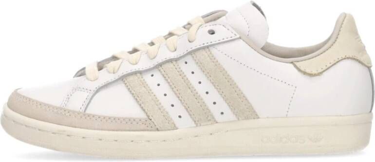 Adidas Cloud White Tennis Sneaker Lage Top Beige Dames