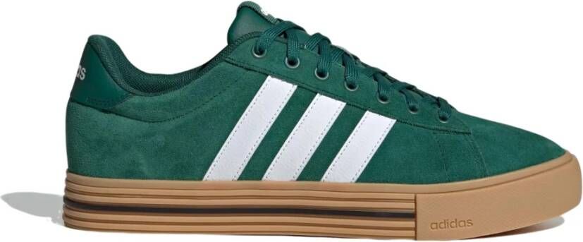 Adidas Dagelijkse 4.0 Sneakers Green