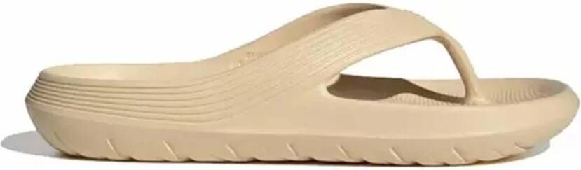 Adidas Flip flops Beige Dames