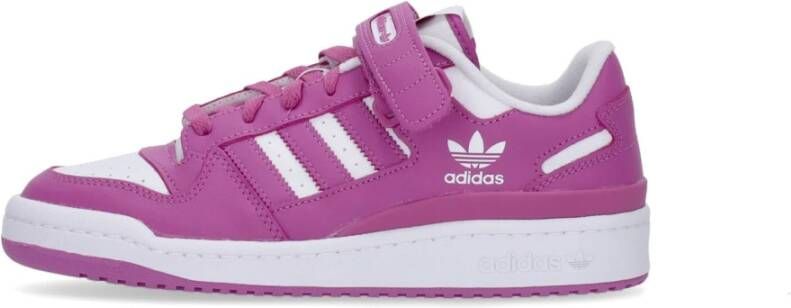 Adidas Lage Basketbalschoen Wit Paars Purple Heren