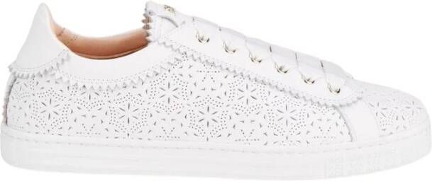 AGL Sneakers White Dames