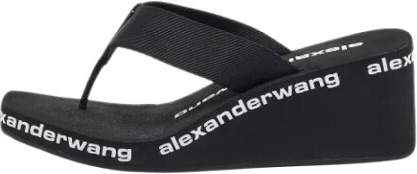 Alexander Wang Pre-owned Fabric sandals Black Dames