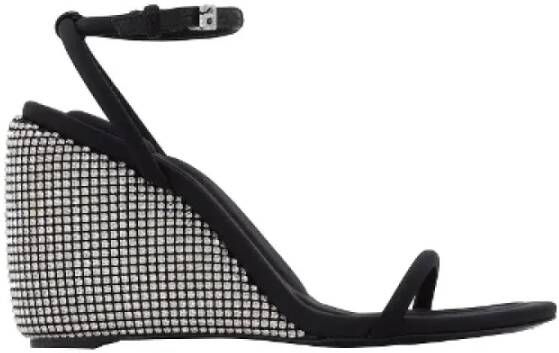 Alexander Wang Pre-owned Leather sandals Black Dames