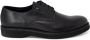 Antony Morato Stijlvolle Leren Derby Schoenen Black Heren - Thumbnail 2