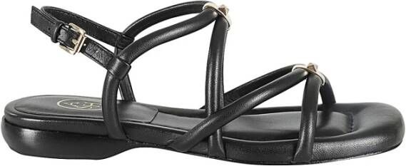 Ash Flat Sandals Black Dames