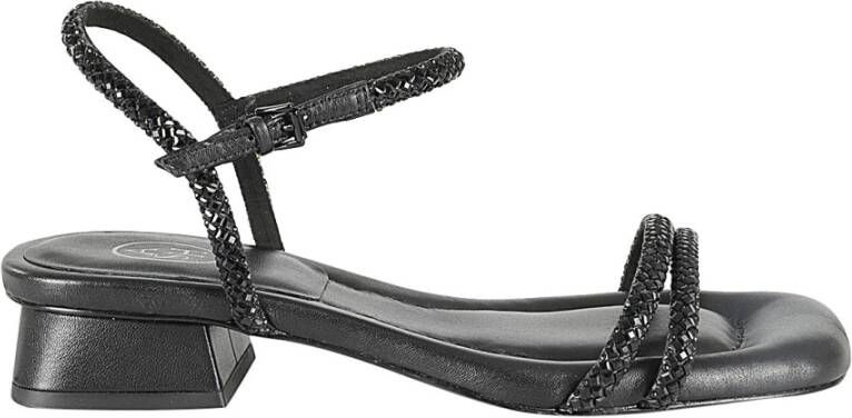 Ash High Heel Sandals Black Dames