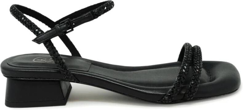 Ash Sandals Black Dames