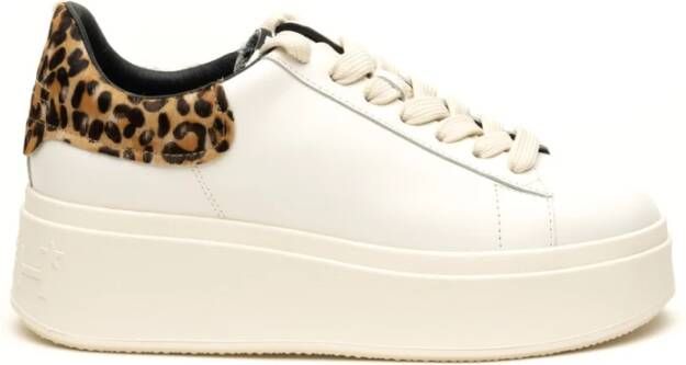 Ash Sport Sneakers White Dames