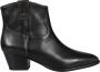 Ash Boots & laarzen Fame Ankle Boots Black in zwart - Thumbnail 1