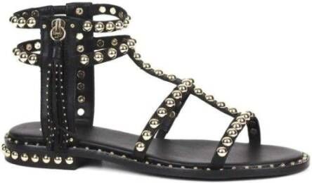 Ash Stijlvolle Sandalen voor Zomerdagen Black Dames