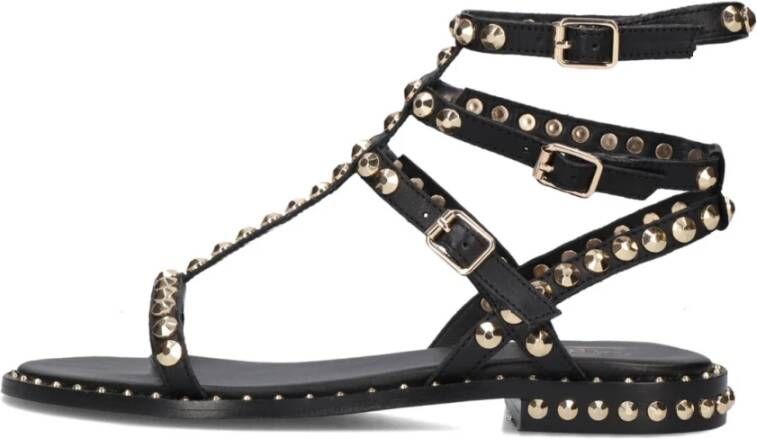 Ash Zwarte Leren Sandaal met Gouden Studs Black Dames