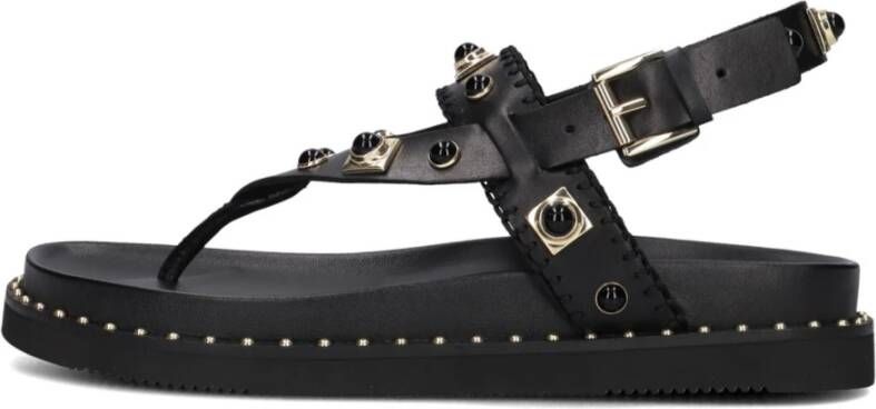 Ash Zwarte Stud Sandalen Uteca Black Dames