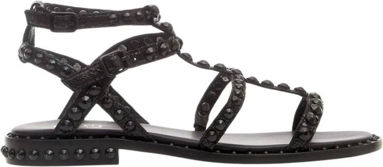 Ash Zwarte studs sandalen Black Dames