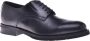 Baldinini Lace-ups in black leather Black Heren - Thumbnail 1