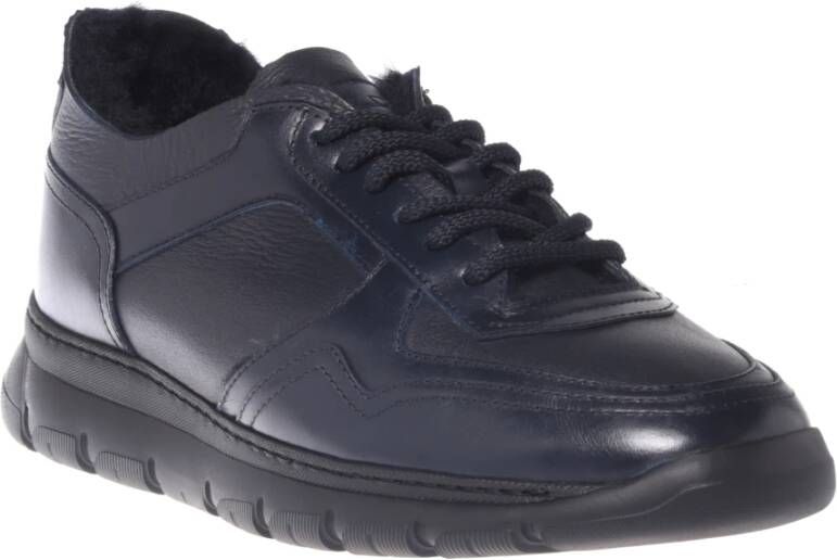 Baldinini Trainers in dark blue leather Blue Heren