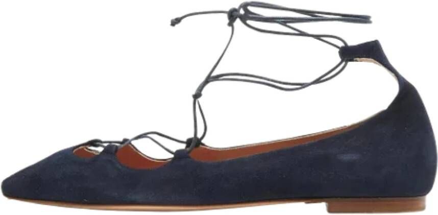 Carolina Herrera Pre-owned Suede flats Blue Dames