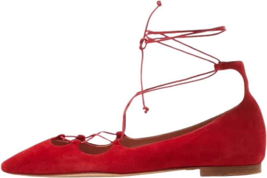 Carolina Herrera Pre-owned Suede flats Red Dames