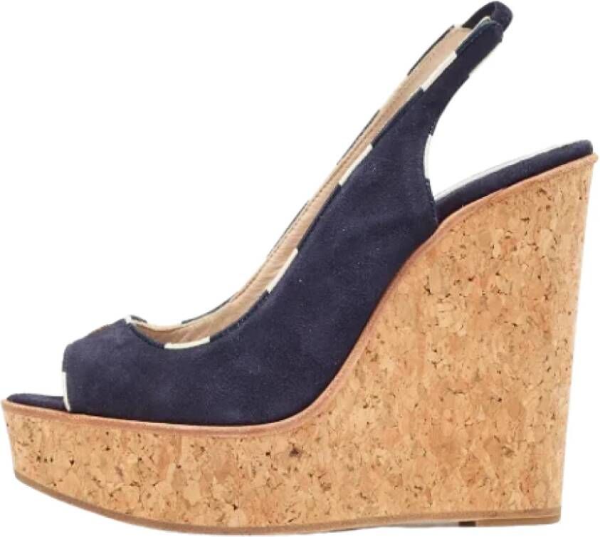 Carolina Herrera Pre-owned Suede sandals Blue Dames