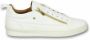 Cash Money Heren Schoenen Heren Sneaker Bee White Gold CMS97 Wit Maten: - Thumbnail 1