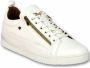 Cash Money Heren Sneaker CMP White Gold- CMS97 White Maten: - Thumbnail 2