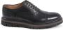 Dee Ocleppo Zwarte Leren Brogue Oxford Schoenen Brown Heren - Thumbnail 1