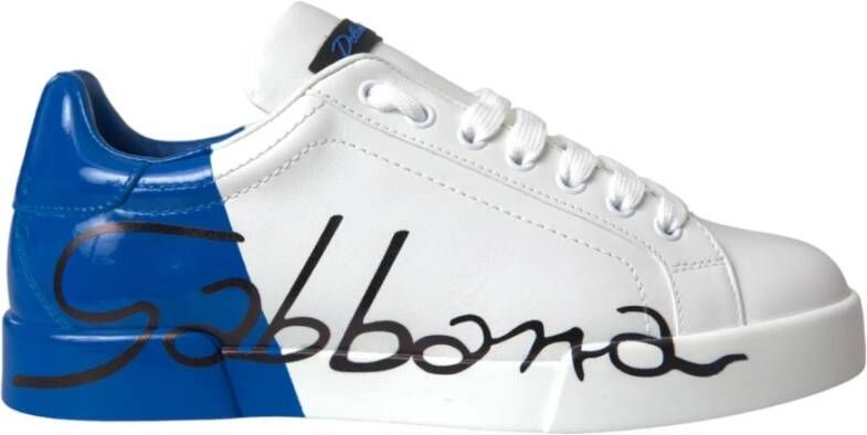 Dolce & Gabbana Blauw & Wit Logo Sneakers Multicolor Heren