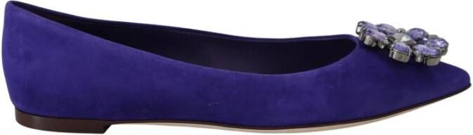 Dolce & Gabbana Kristalversierde Suède Ballerina Flats Purple Dames