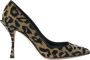 Dolce & Gabbana Luipaard Lurex Hakken Pumps Schoenen Multicolor Dames - Thumbnail 5