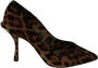 Dolce & Gabbana Luipaardprint Hakken Pumps Bruin Brown Dames - Thumbnail 5