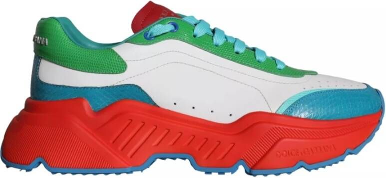 Dolce & Gabbana Multicolor Daymaster Lage Top Sneakers Multicolor Heren