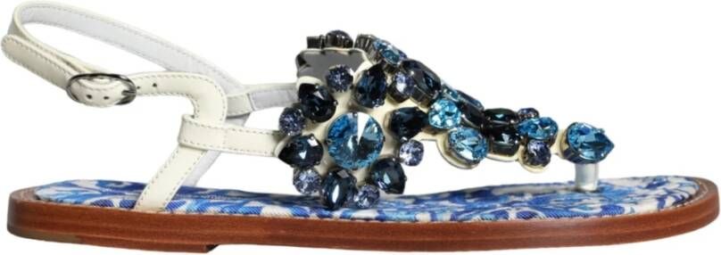 Dolce & Gabbana Multicolor Kristal Flats Sandalen Schoenen Multicolor Dames