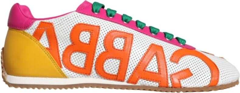 Dolce & Gabbana Multicolor Leren Logo Sneakers Multicolor Dames