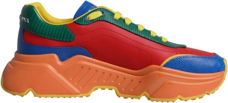 Dolce & Gabbana Multicolor Leren Sneakers met Logodetails Multicolor Heren