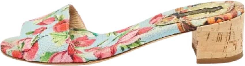 Dolce & Gabbana Pre-owned Canvas sandals Multicolor Dames