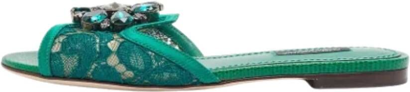 Dolce & Gabbana Pre-owned Lace flats Green Dames