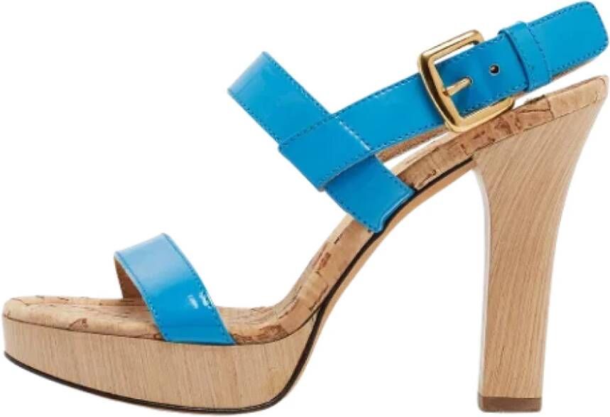 Dolce & Gabbana Pre-owned Leather sandals Blue Dames