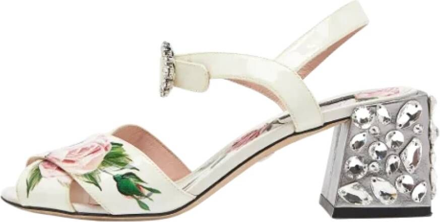 Dolce & Gabbana Pre-owned Leather sandals Multicolor Dames