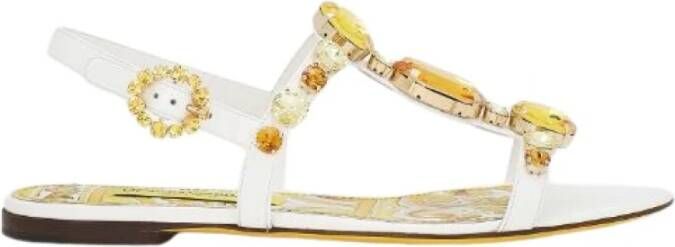 Dolce & Gabbana Versierde Sandalen in Lakleer Multicolor Dames