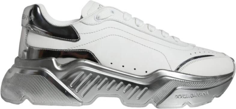 Dolce & Gabbana Wit Zilver Lage Top Sneakers Rubberen Zool White Heren