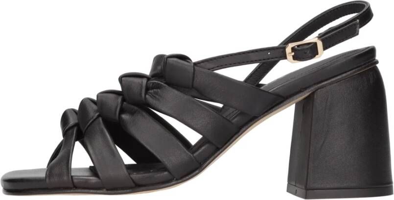 Elvio Zanon Sandalen Zwart Black Dames