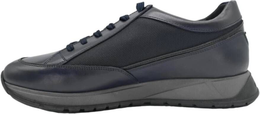 Alberto Guardiani Blauwe Lage Top Sneakers Gray Heren