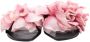 Alexander McQueen Pre-owned Leather flats Pink Dames - Thumbnail 2