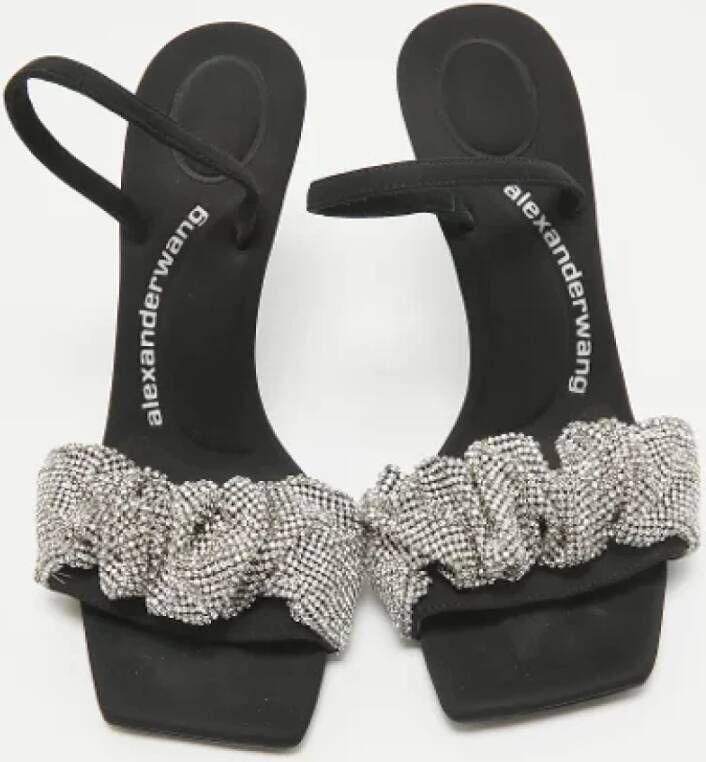 Alexander Wang Pre-owned Fabric sandals Black Dames