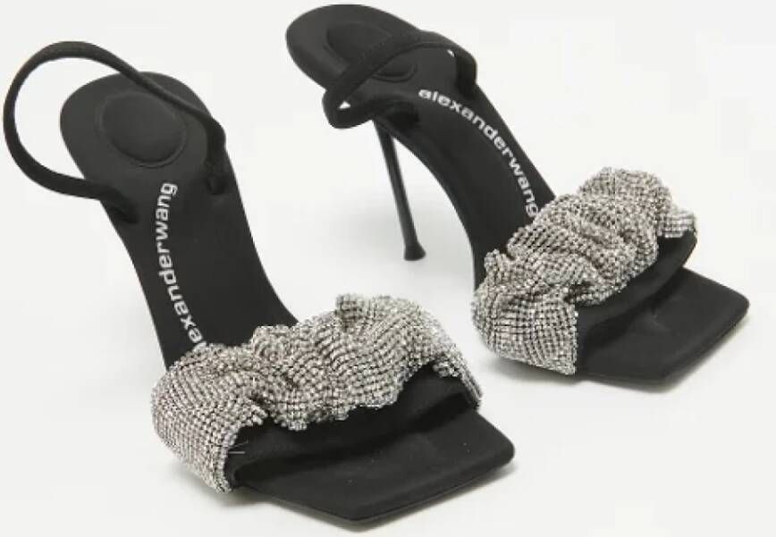 Alexander Wang Pre-owned Fabric sandals Black Dames