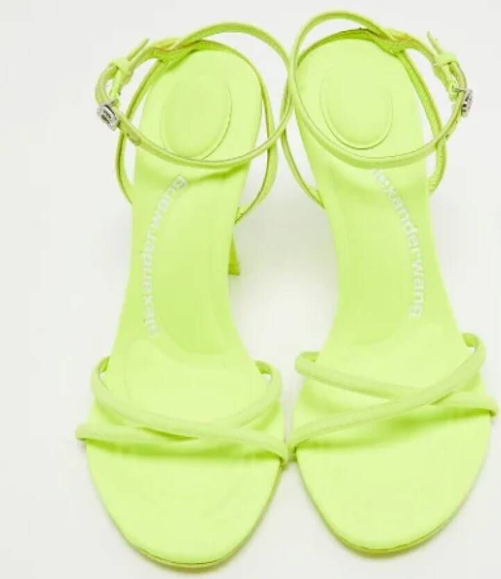 Alexander Wang Pre-owned Fabric sandals Green Dames