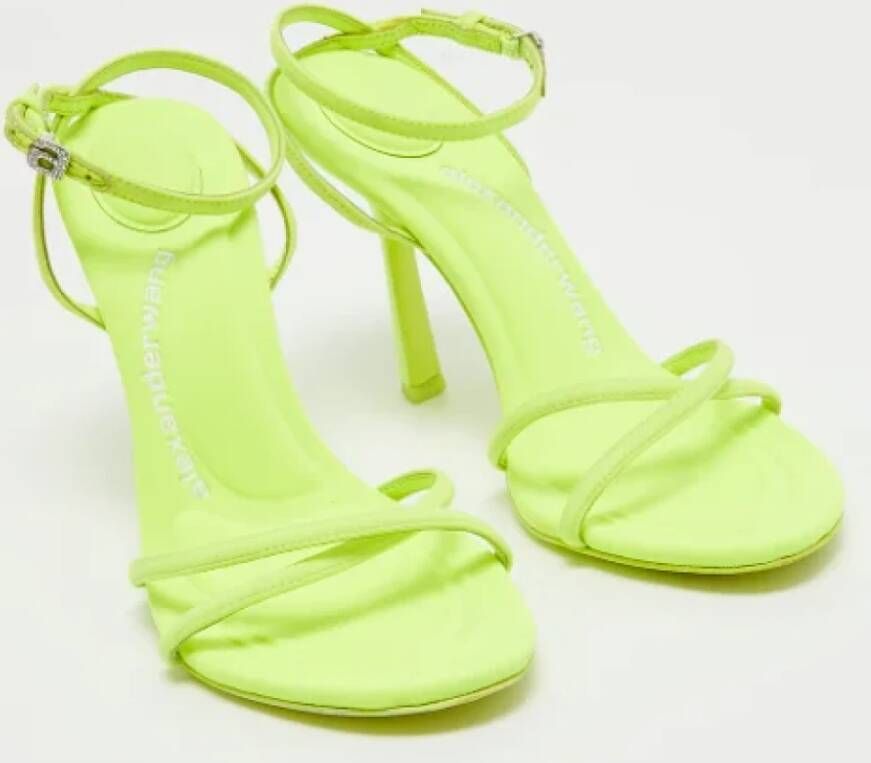 Alexander Wang Pre-owned Fabric sandals Green Dames