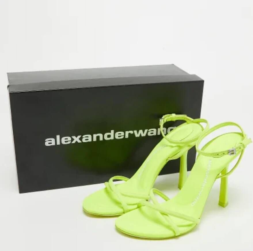 Alexander Wang Pre-owned Fabric sandals Green Dames