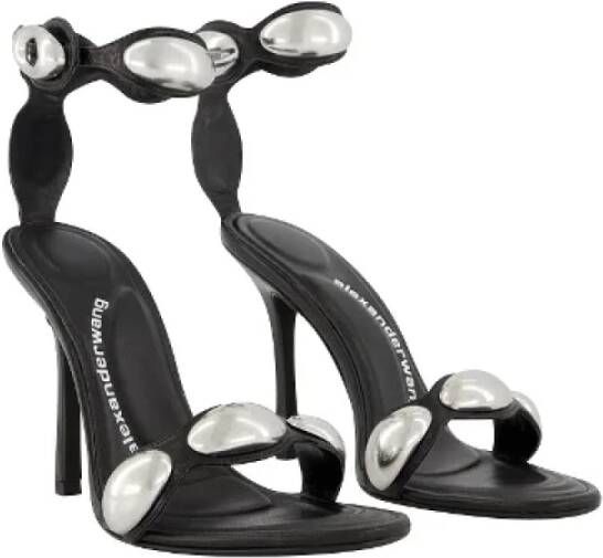 Alexander Wang Pre-owned Leather sandals Black Dames