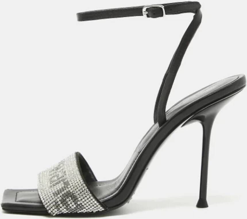 Alexander Wang Pre-owned Leather sandals Black Dames