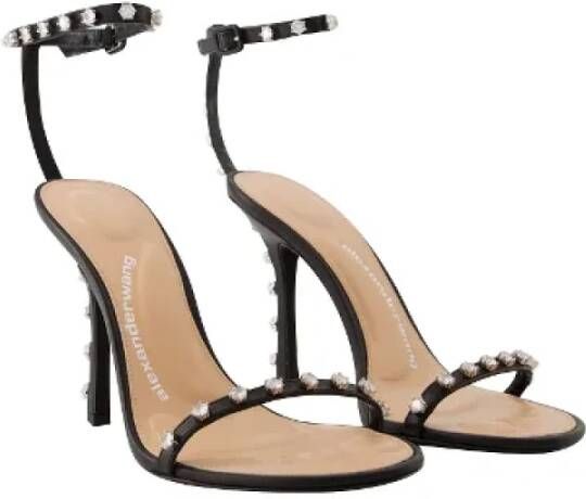 Alexander Wang Pre-owned Leather sandals Black Dames